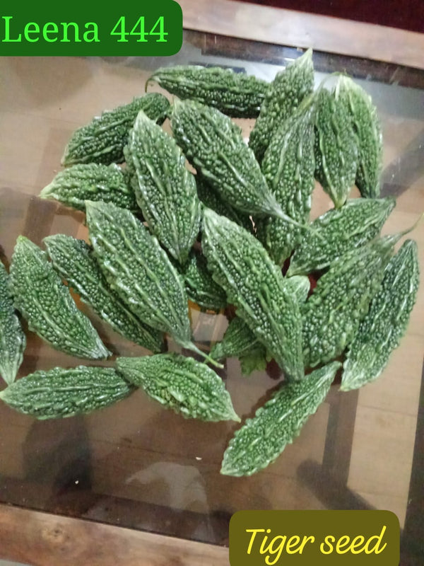Bitter Gourd (Karayla) Seed | Net Weight 50 Gram